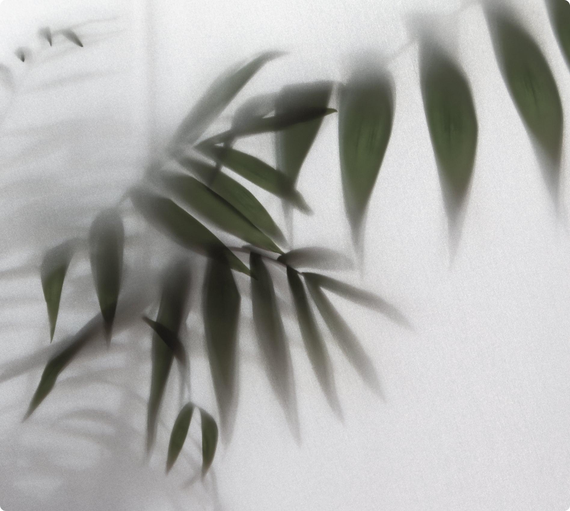 Image related to the use of nonwovens for biodegradable and compostable products