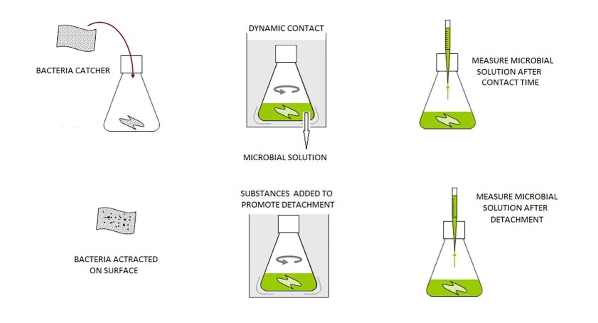 Bacteria Catcher action scheme